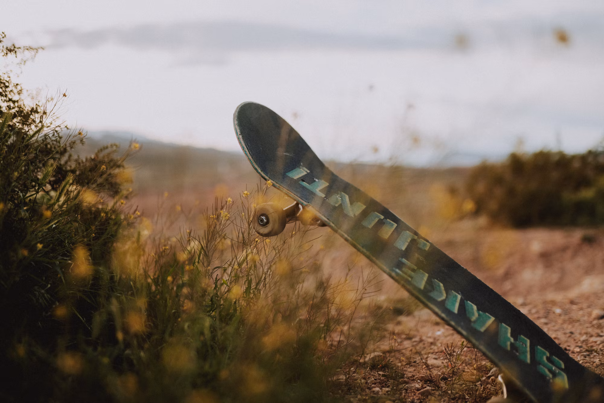 Exploring the World of Skateboarding: A Journey Through Styles and Community